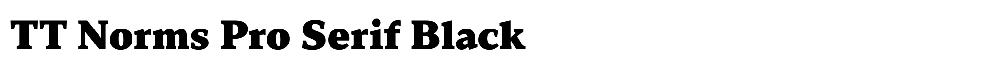 TT Norms Pro Serif Black image